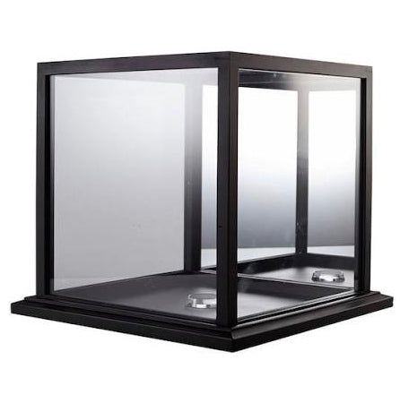 Basketball Display Case